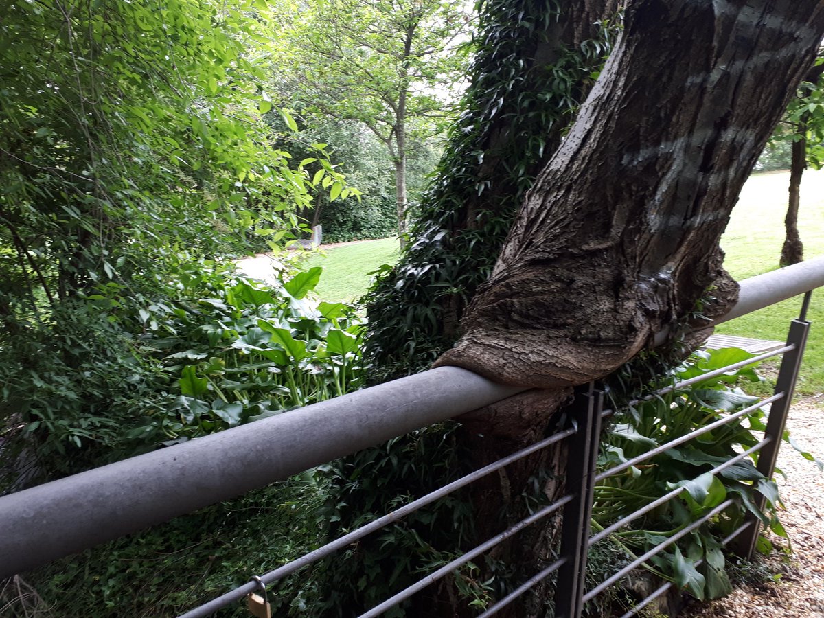 maisujavi's tweet photo. Bitartean #irakasleok #lorategi #botaniko-ko #baliabide #didaktikoak ezagutzera hurbildu gara.
El #profesorado hemos acudido al #jardín #botánico para conocer los #recursos #didácticos que nos ofrece.
#naturgela #eskolakoA21 #A21escolar https://t.co/8SHZkzwIgk