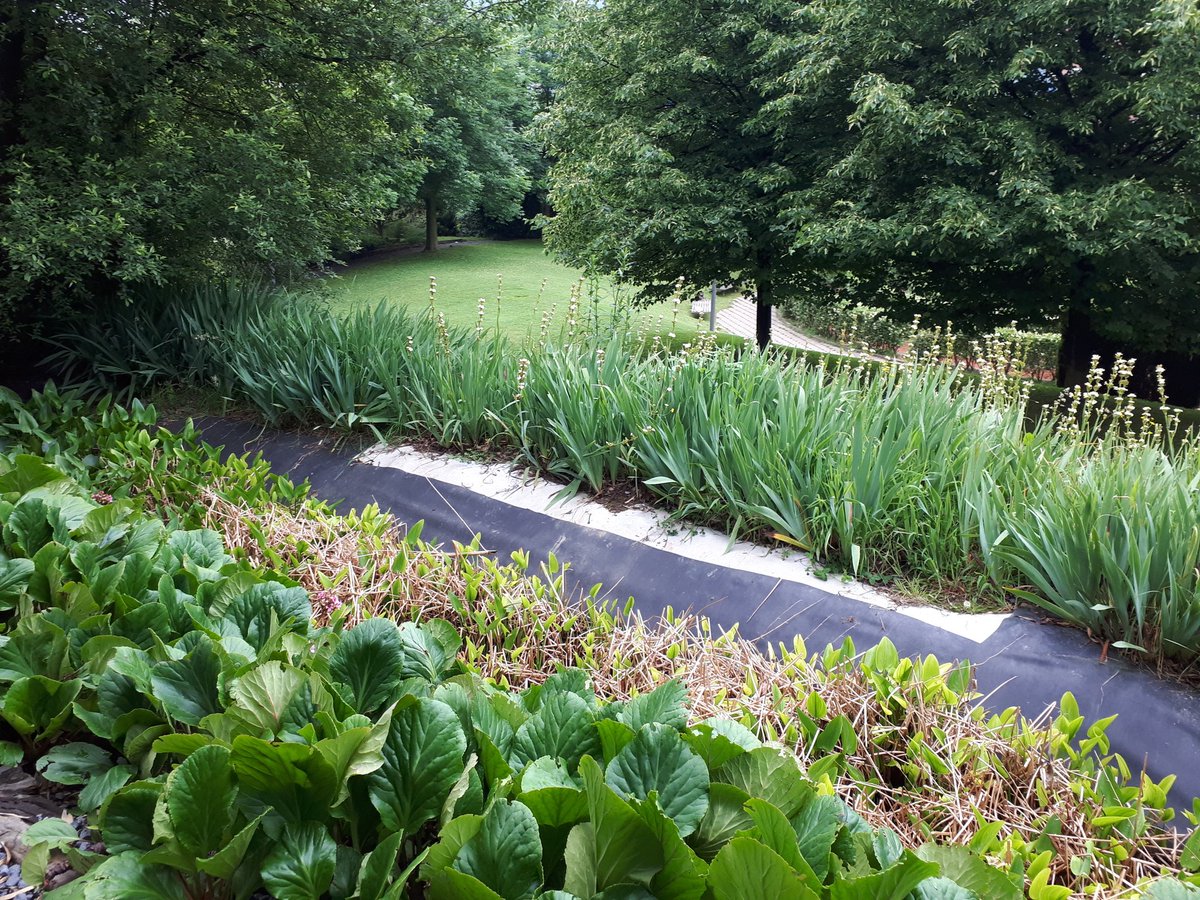 maisujavi's tweet photo. Bitartean #irakasleok #lorategi #botaniko-ko #baliabide #didaktikoak ezagutzera hurbildu gara.
El #profesorado hemos acudido al #jardín #botánico para conocer los #recursos #didácticos que nos ofrece.
#naturgela #eskolakoA21 #A21escolar https://t.co/8SHZkzwIgk