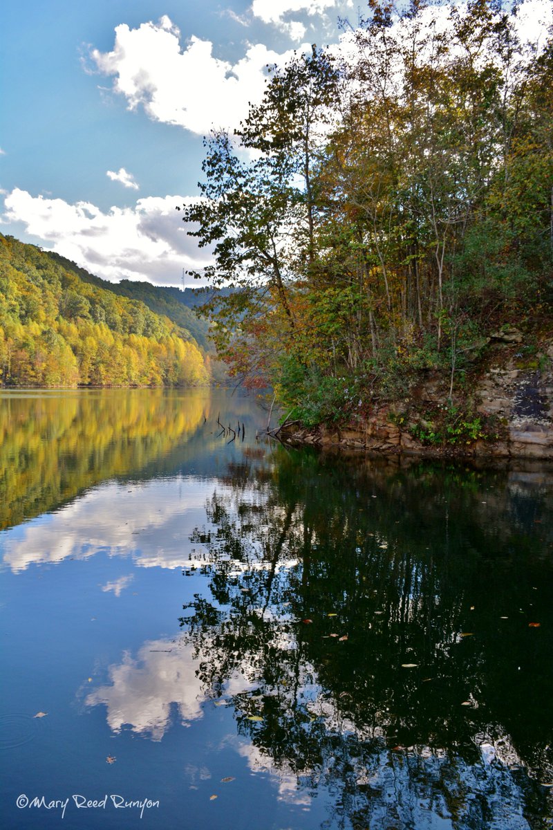 A few old favorites of mine. ❤️📸#PikeCoKY @WYMT @AndrewWYMT @brobwx @JimWKYT @ChrisWKYT @RepHarrisKy @KentuckyTourism @BluegrassScenes @photographyofky @KentuckyLiving @ExploreKentucky #nature #photography #NaturePhotography #Kentucky