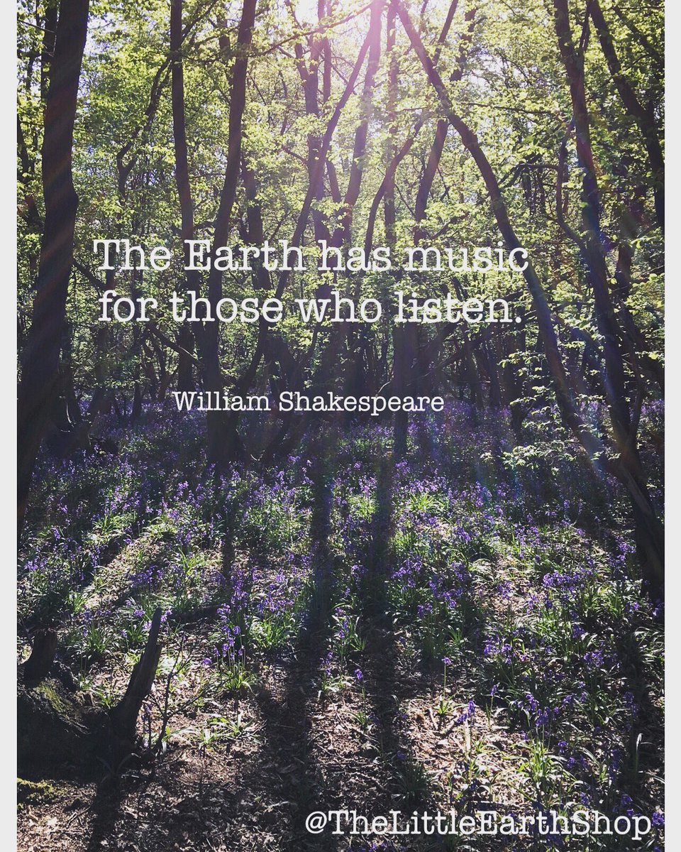 TheLittleEarth1's tweet photo. #loveearth #zerowaste #plasticfree #soundsofnature #timeforchange #englishwoodland #woodlandwalks #beautifulearth #bluebells #ecofriendly #plasticpollution #plasticsucks #theresnoplanetb #shakespeare #wordsofwisdom #naturephotography #reducereuserecycle 💙 https://t.co/gzwfdSfmPX