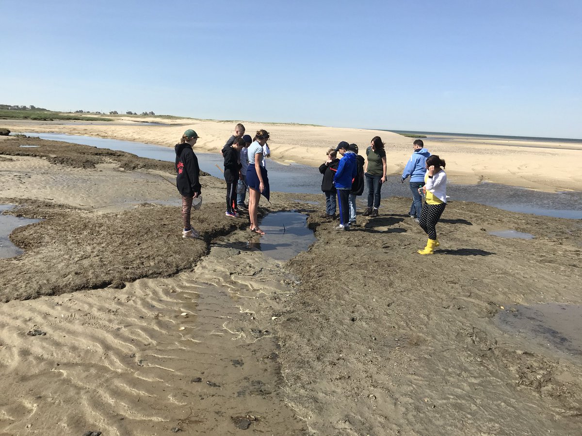 Lboroschool's tweet photo. Exploring the salt marsh in Wellfleet! https://t.co/RaGx4xJ1Qj