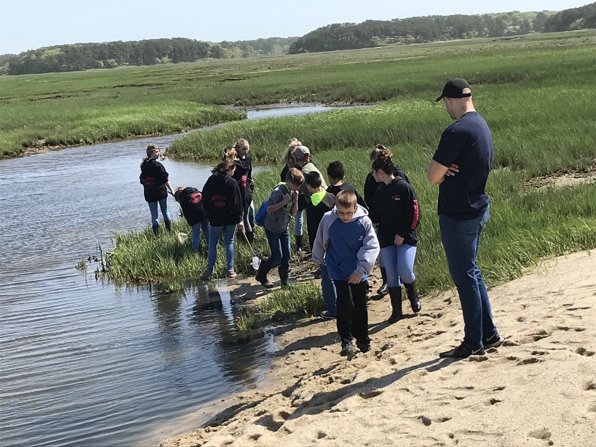 Lboroschool's tweet photo. Exploring the salt marsh in Wellfleet! https://t.co/RaGx4xJ1Qj