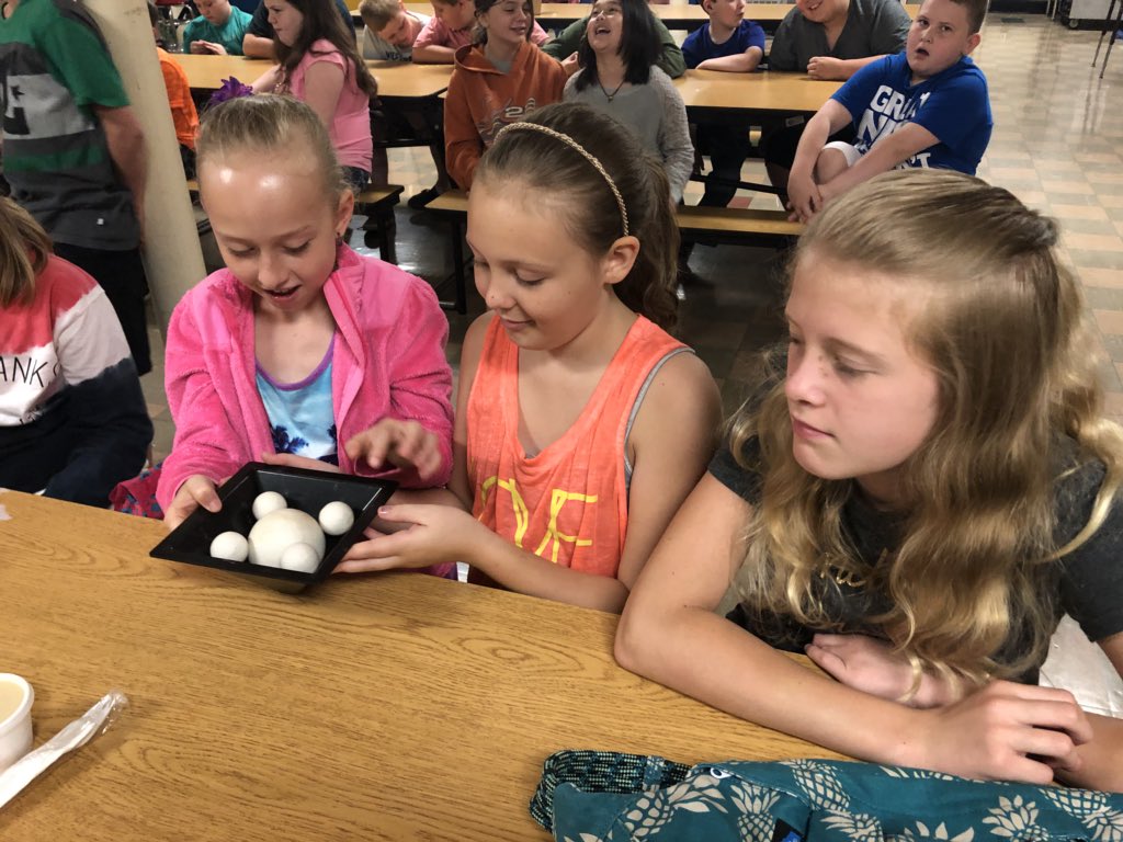 Larissa Justice tweet media