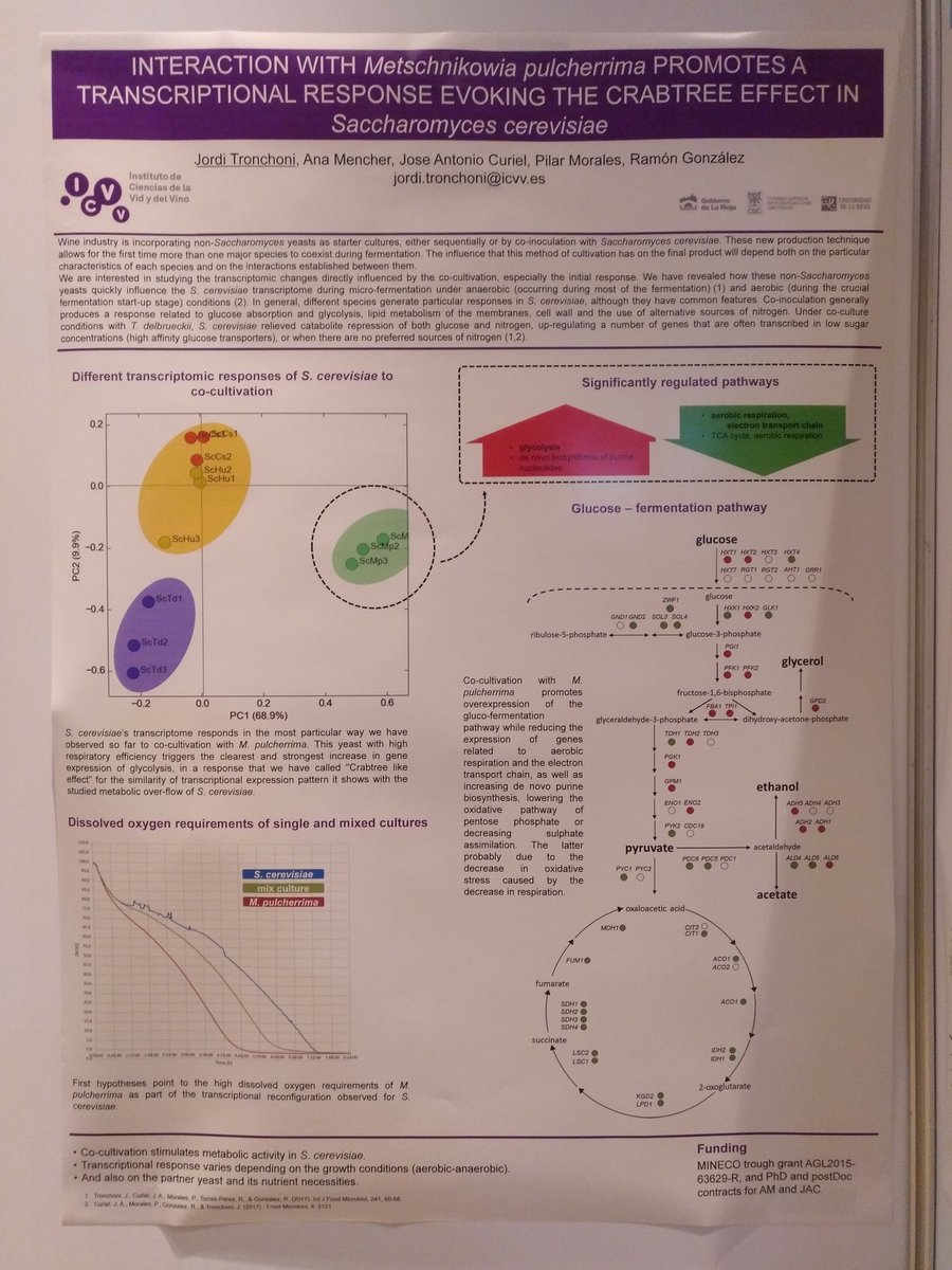 MicroWineLab's tweet photo. and the effect of non-Sacchs species on Saccharomyces cerevisiae? @MicroWineLab @icvv_rioja @macrowine https://t.co/wBZxTG7V8c