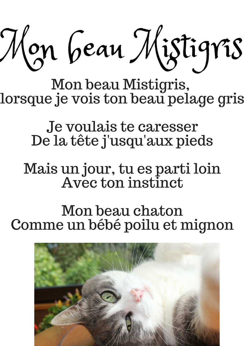 MmeMHG's tweet photo. #ProjetPhotoPoésie Mélodie Audet https://t.co/TOa3imdZJS