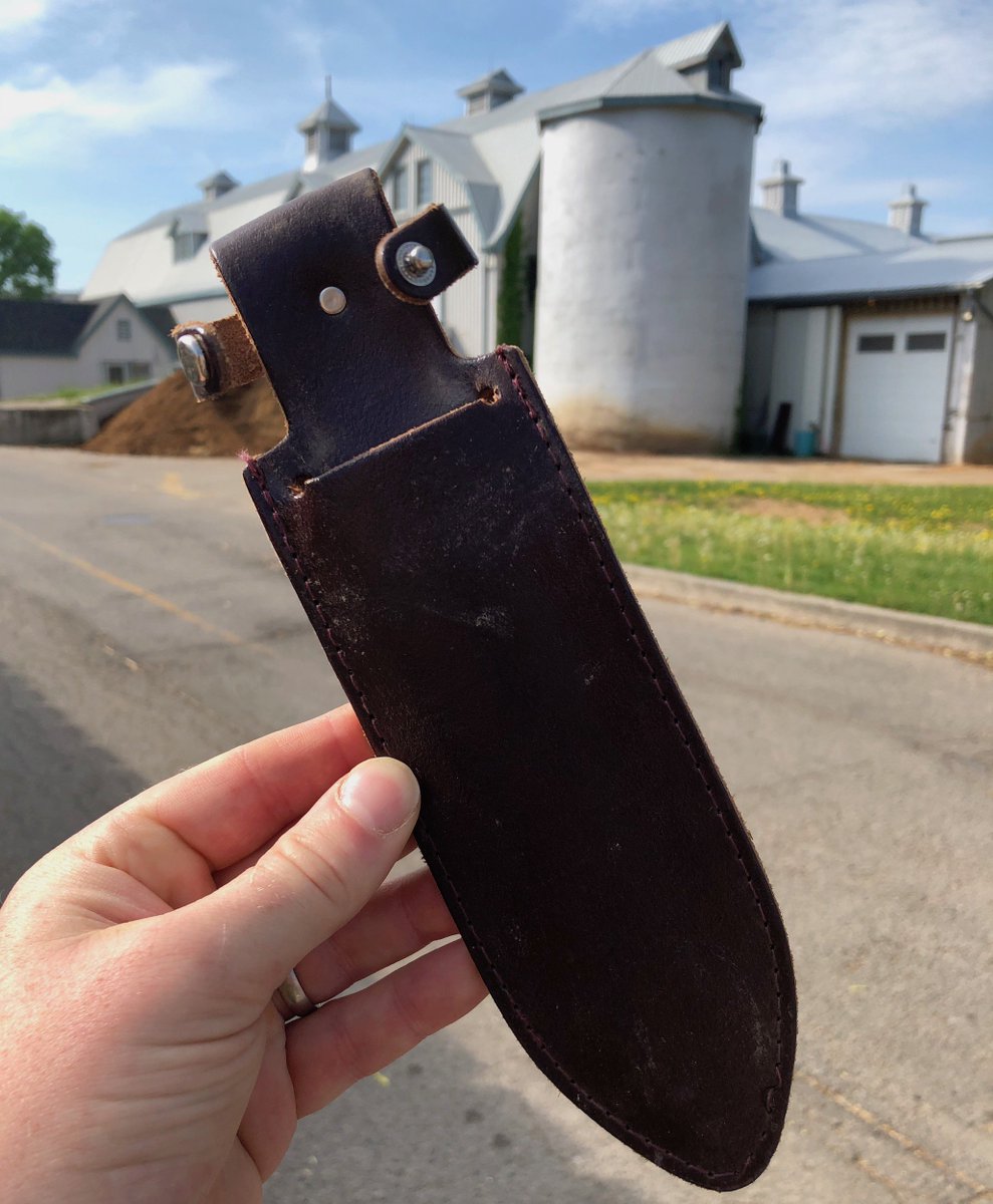 NigelERaine's tweet photo. That's not a knife... any @uofg tweeps missing this useful looking tool pouch? Found on Grange lane by the dairy barn this morning. DM me for more details. @UofGuelphOAC please RT #batutilitybelt https://t.co/XXP8jK1Go6