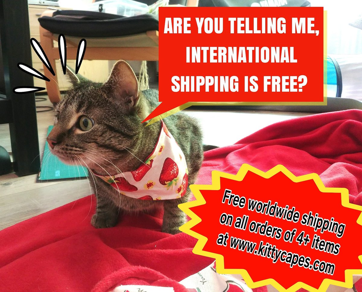 Have you seen our etsy shop yet? We've got handmade pet bandanas, toys, beds and much more ♥️
Check it out at kittycapes.com
We're sure you'll find something you love ❤️ 
(Free shipping offer ends 30.06.2018)
#CatsOfTwitter #whiskerswednesday #WednesdayWisdom