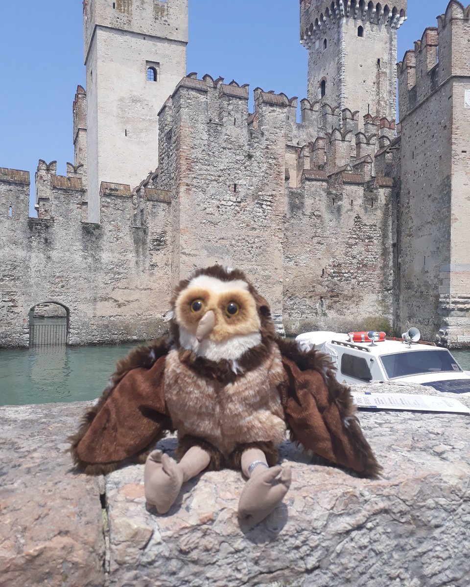 Did you know that the royal mews is where the king kept his birds of prey, body double has found a lovely place for his new residence 😁🦉😁 #thoughtsabovehisstation #royalmews #mews #castle #owlontour #owl #owls #owlet #cheshire #falconry #burrowingowl