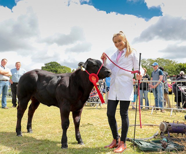 FlavoursFingal's tweet photo. Who’s coming to Flavours of Fingal this year on the 23rd and 24th of June in Newbridge House?

Have you planned your route? Go green this year via shuttle bus, Park 'n' Ride or Public Transport.

Find out more here - https://t.co/xwcYox1zvk

#flavoursoffingal https://t.co/cMgYtM9o7i