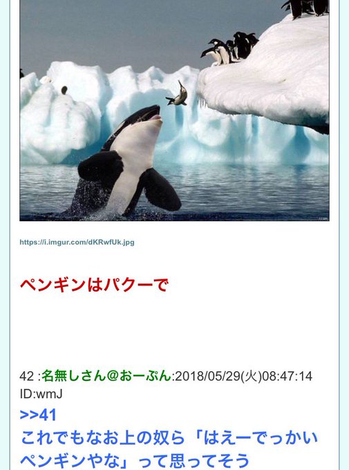 サヲリ Saw Ory 18年05月 Twilog サヲリ Saw Ory 18年05月 Twilog