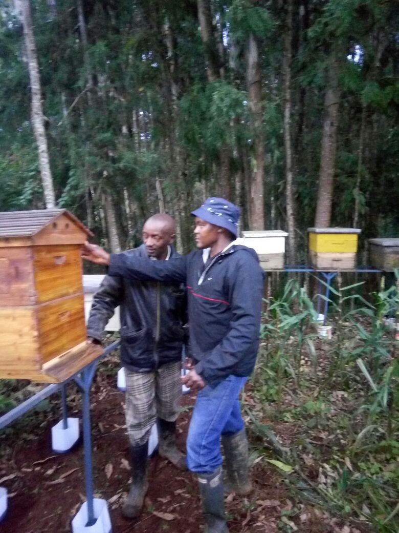 UNATHI_Labs's tweet photo. Promoting #beekeeping and #forestation to drive #incomediversification and environmental #conservation among #smallholderfarmers. Another #StrongFarmers program, complementing sustainable agriculture. #SDG2 #Africa #Kenya #UNATHI #Honey #Bees https://t.co/00wKkwLmlU
