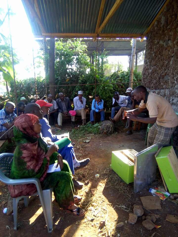 UNATHI_Labs's tweet photo. Promoting #beekeeping and #forestation to drive #incomediversification and environmental #conservation among #smallholderfarmers. Another #StrongFarmers program, complementing sustainable agriculture. #SDG2 #Africa #Kenya #UNATHI #Honey #Bees https://t.co/00wKkwLmlU