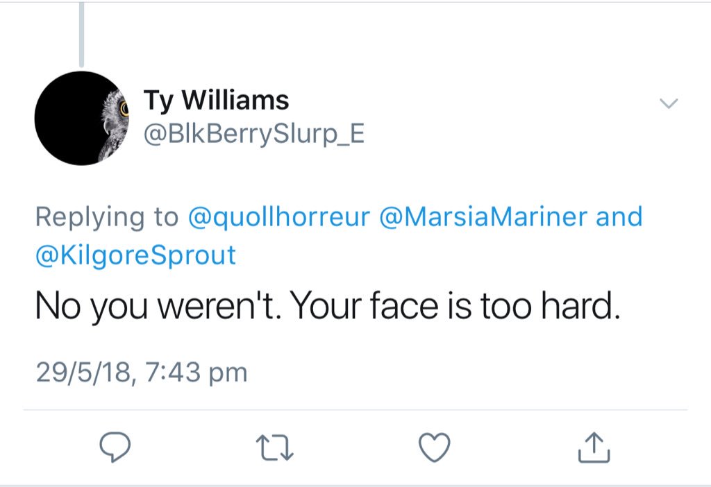 So, I’m going to expand on this thread for all the times I’ve been called a dude despite politely correcting people that I’m cis. Meet Ty. Ty is a bigot. Don’t be like Ty. Oh, apparently my face is “too hard” to be cis. That’s a new one.