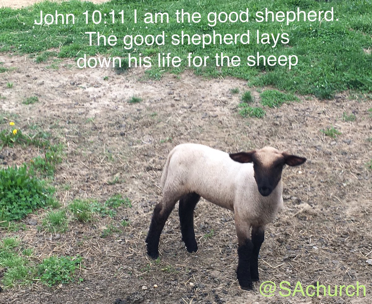 St. Anianus tweet media