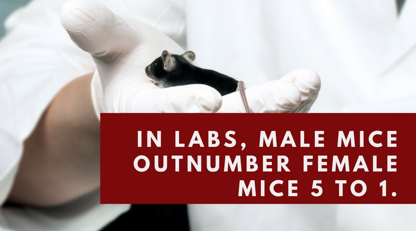 KentScientific's tweet image. Does a scientist’s gender affect the results of their research? New studies say yes, &amp;amp; not only does the gender of the clinician matter, the gender of lab animals does as well. Read more in our #KentConnects blog post: bit.ly/2H2oXEF #ClinicalResearch #AnimalResearch
