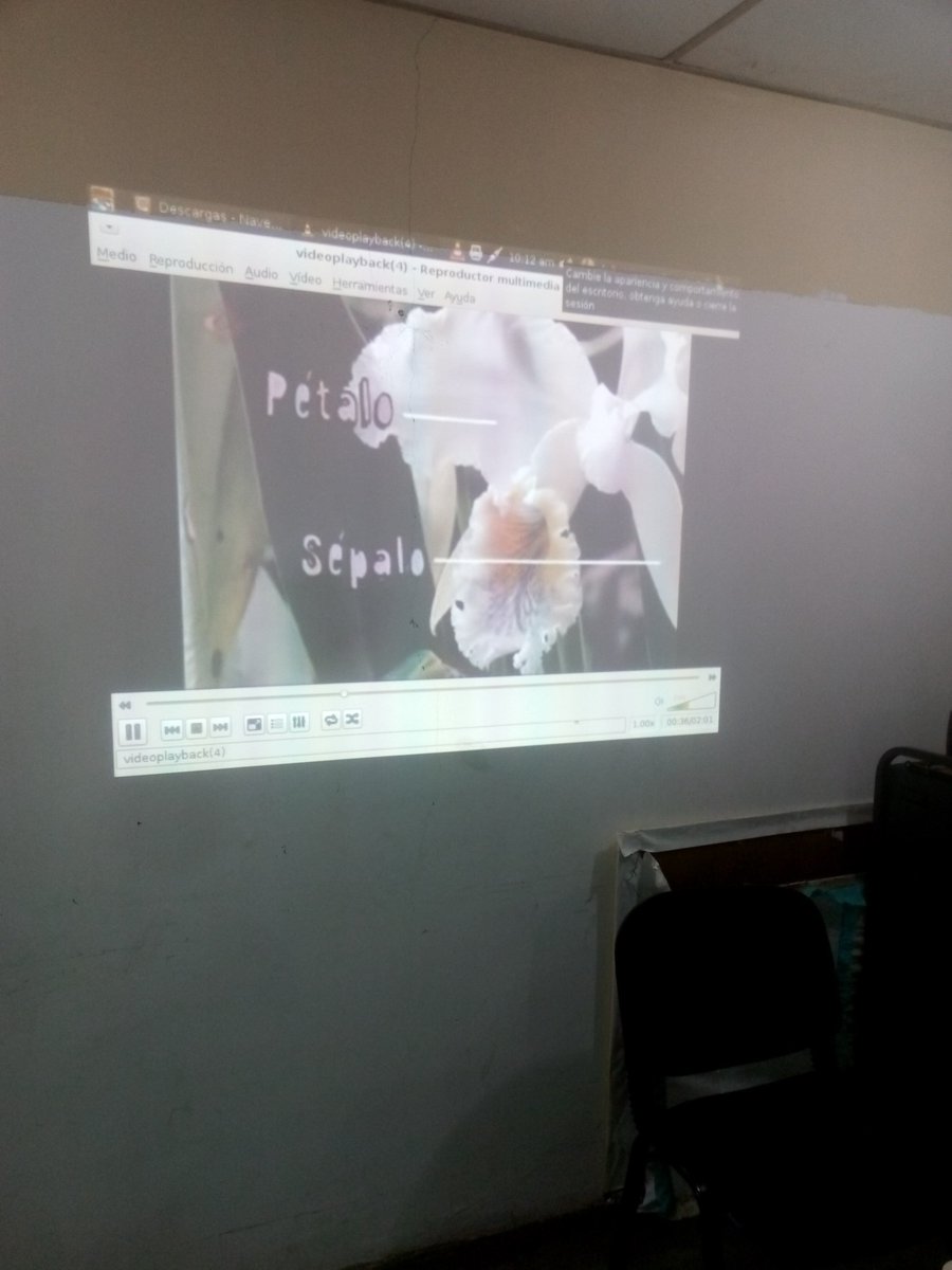 BocaneyCbit's tweet photo. @#Fundabit #OrquideaFlorNacional, video y conversatorio dirigidos a niños de 4to B sobre el cuidado de nuestra flora en especial conociendo Nuestra Flor Nacional La Orquidia. @JauaMiranda @vane_prieto @FundabitCojedes @MaryoriMolina https://t.co/N8yHmBBuWQ