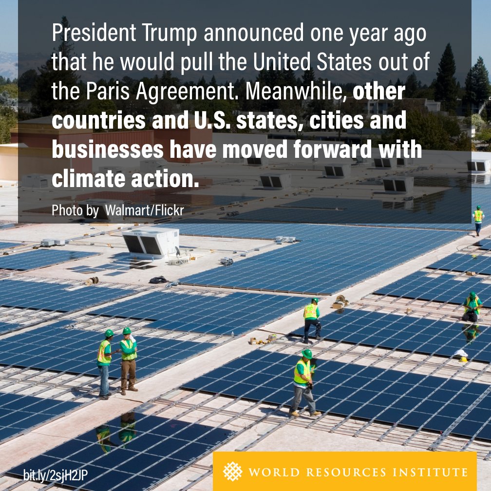 WorldResources's tweet photo. The world is moving on since Trump announced intent to withdraw from the #ParisAgreement on climate change. Learn more: https://t.co/ccROoDBGVs #ClimateAction https://t.co/hJAl6aCmmF