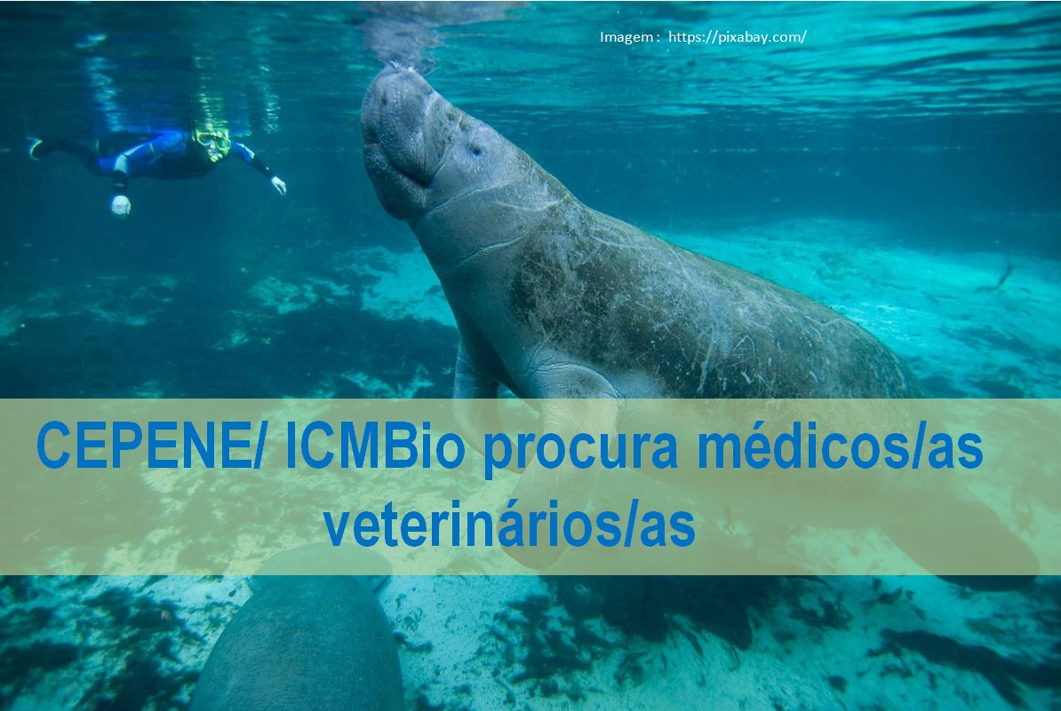 CRMVBA's tweet photo. CEPENE/ ICMBio procura médicos/as veterinários/as 
https://t.co/qlsi6jqYmy https://t.co/gNT3RNtIcj