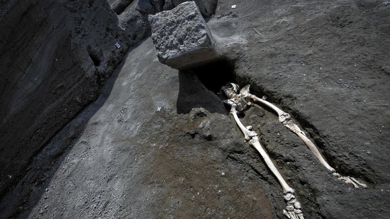 etiennedellen's tweet photo. New find at Pompeii reminded me of @Ferns__ “I wonder how he died” post. https://t.co/ck2LJp80GJ