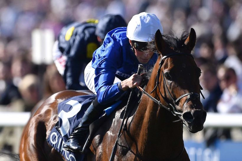 francegalop's tweet photo. 📣 Ils sont 18 partants probables dimanche @fgchantilly dans le #QIPCO 🏆 Prix du #JockeyClub G1
Ce sera le Quinté @PMU_Hippique
Engagement supplémentaire de #KeyVictory 📸 pour @godolphin
Tirage des places à la corde demain @equidia
👉🏼 https://t.co/wYSlLw3WvV https://t.co/ieLYx2zLaT