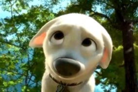 ADS_067's tweet photo. When you’re handling the situation with your new puppy, next minute.....
#newpuppy #puppydogeyes #thestruggleisreal #youwillnotbreakme
#maybealittlebit https://t.co/2XadFUIuZ8