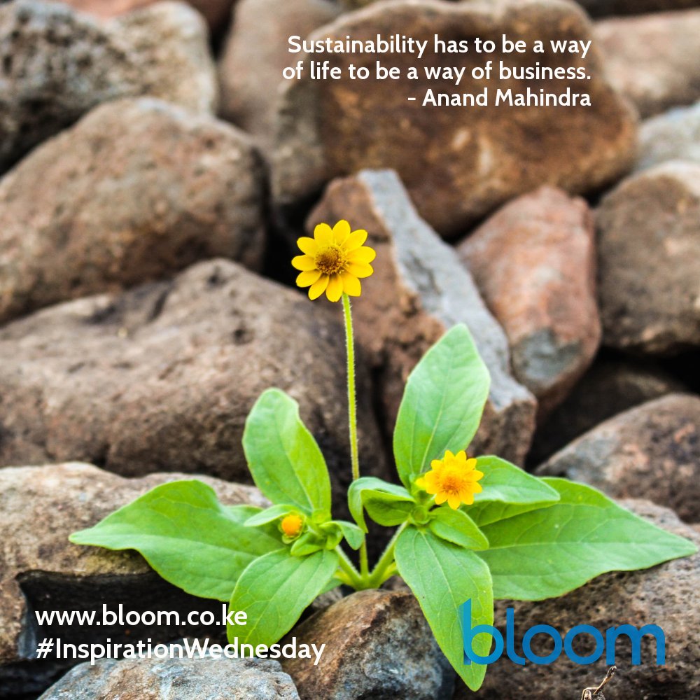 BloomKenya's tweet photo. #InspirationalWednesday Sustainability has to be a way of life to be a way of business. - Anand Mahindra https://t.co/NoA2fRIoGI https://t.co/dsYizsF1Es