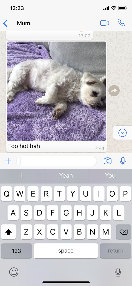 JordanWeekender's tweet photo. Swear down any one else’s mother’s constantly text ya as if your dog is on the phone texting ya 😂🙈 or is my mother just the only one 😂 https://t.co/mNfEmQmGzI