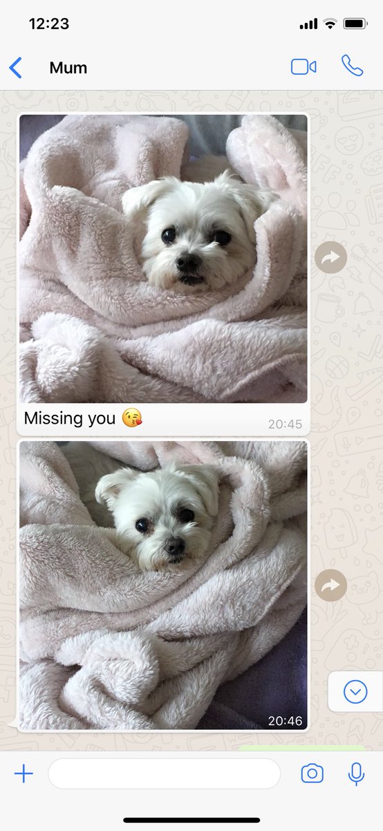 JordanWeekender's tweet photo. Swear down any one else’s mother’s constantly text ya as if your dog is on the phone texting ya 😂🙈 or is my mother just the only one 😂 https://t.co/mNfEmQmGzI