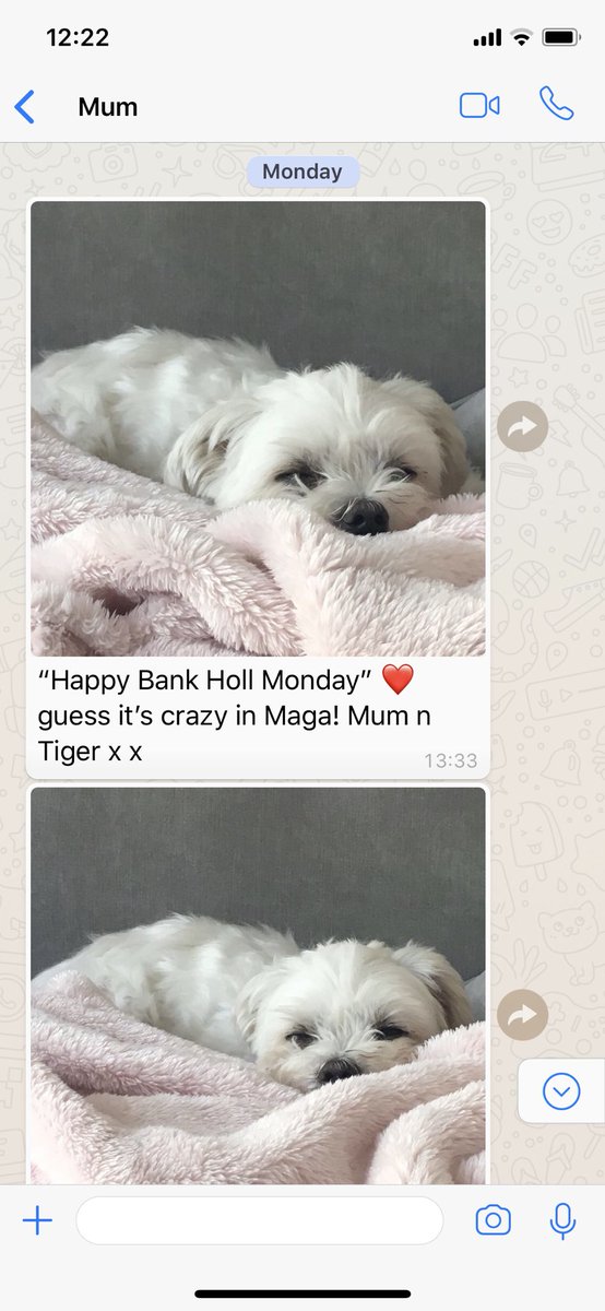 JordanWeekender's tweet photo. Swear down any one else’s mother’s constantly text ya as if your dog is on the phone texting ya 😂🙈 or is my mother just the only one 😂 https://t.co/mNfEmQmGzI