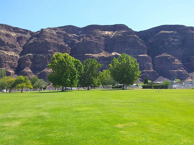 NWHotspots's tweet photo. #Beautiful green grass, blue sky and #impressive #basalt #cliffs in the background.  #CrescentBar is not only a #summerplayground, it's a gorgeous #vacation #getaway in #CentralWashington. #ColumbiaRiver #condos #swimming #boating #golf #NWHotspots https://t.co/dGPjeAHPUZ