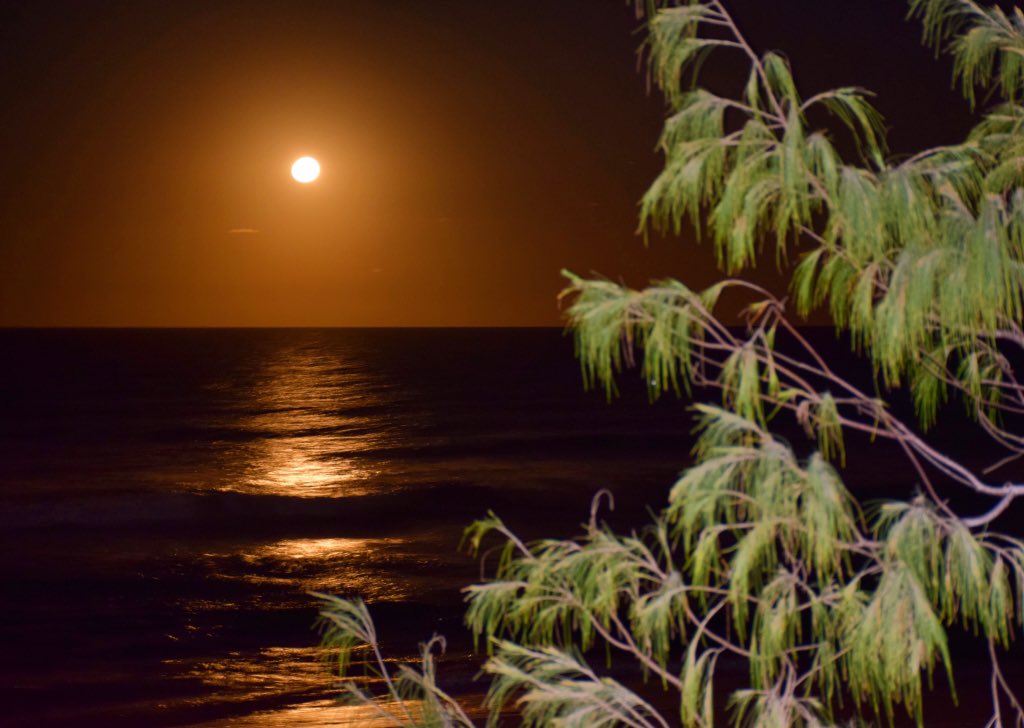nic_fitz11's tweet photo. Full moon rising over Kawana Beach 😍 @sunshinecoastoz @Queensland #visitsunshinecoast #fullmoon https://t.co/UTx8qirxjH