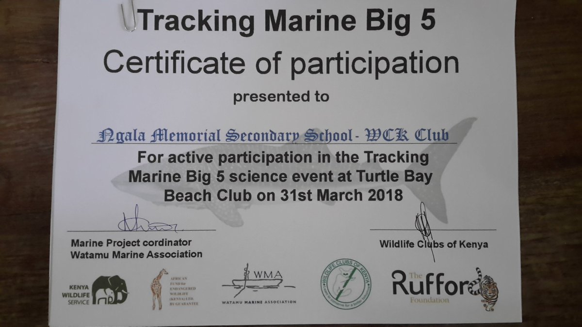 WatamuMarineAssoc. (@watamumarine) on Twitter photo Tracking the #marinebig5 is ongoing. Especially with the #humpback #whale migration in July. Are you #citizenscience student with <a href="/mmnjug/">mmnjug™</a> <a href="/MGilleyM/">Gilbert Mwang'ombe M</a> <a href="/GiraffeCenter/">AFEW Kenya - Giraffe Centre</a> <a href="/wck1968/">Wildlifeclubsofkenya</a> <a href="/lamumarine/">LaMCoT</a> <a href="/OceansAliveKE/">Oceans Alive</a> <a href="/kwskenya/">Kenya Wildlife Service</a> Tracking the #marinebig5 is ongoing. Especially with the #humpback #whale migration in July. Are you #citizenscience student with <a href="/mmnjug/">mmnjug™</a> <a href="/MGilleyM/">Gilbert Mwang'ombe M</a> <a href="/GiraffeCenter/">AFEW Kenya - Giraffe Centre</a> <a href="/wck1968/">Wildlifeclubsofkenya</a> <a href="/lamumarine/">LaMCoT</a> <a href="/OceansAliveKE/">Oceans Alive</a> <a href="/kwskenya/">Kenya Wildlife Service</a>