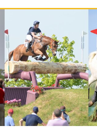 Tom McEwen tweet media