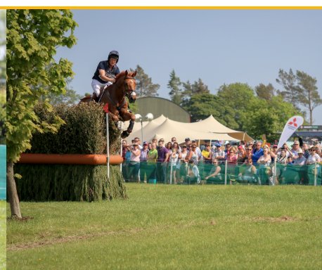 Tom McEwen tweet media