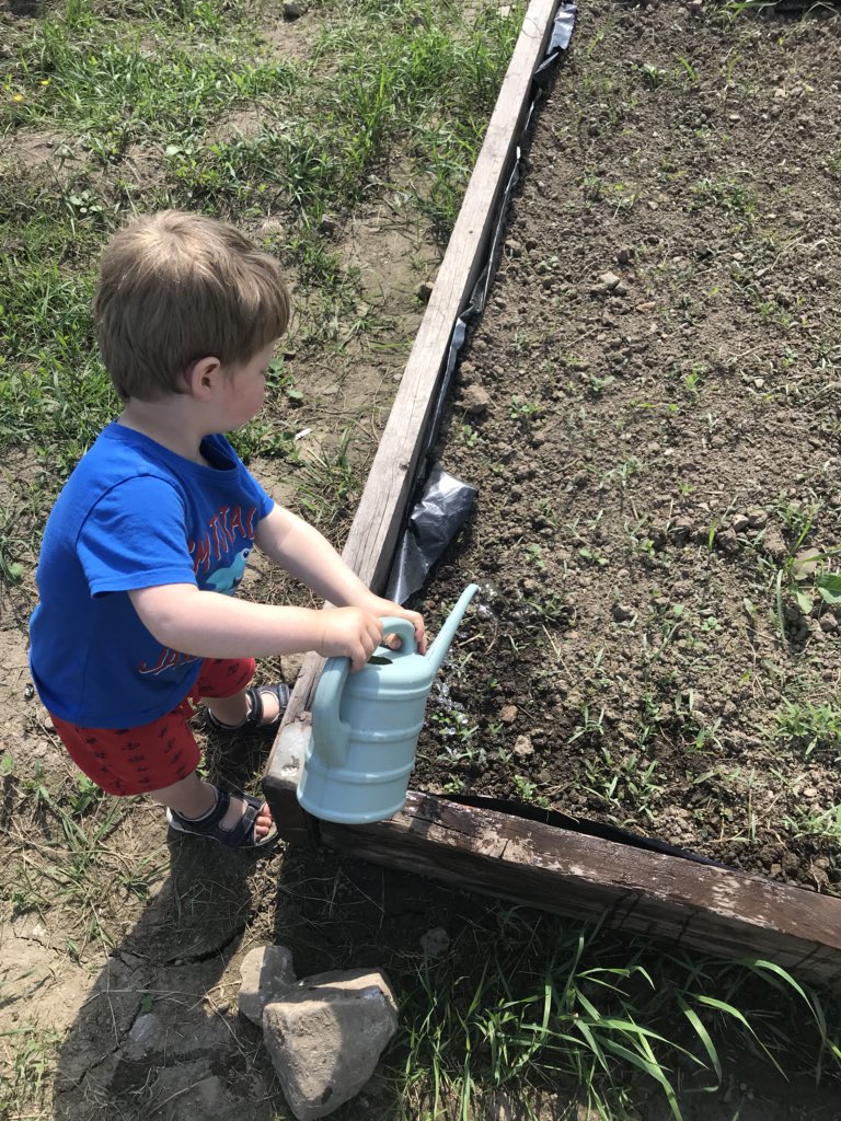 GrowingInGalway's tweet photo. Tom Hanley and Laurence Daly working hard on the raised beds and little Tom watering the strawberry’s  in Ballinfoile Mor Community Organic Garden. #healthygalway #HealthyCities #littlethings https://t.co/h5H7H7LtyK