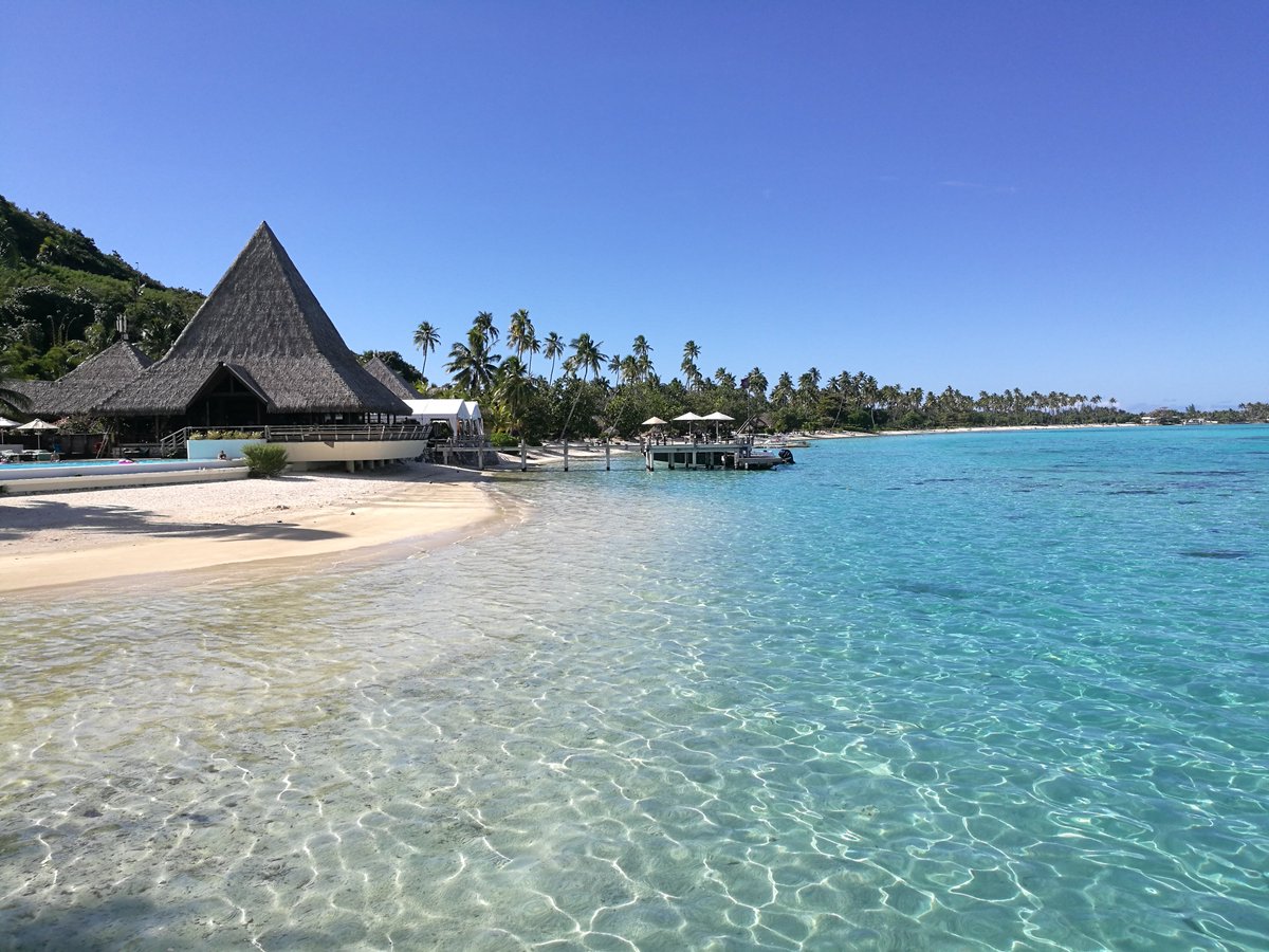 Samoa Events tweet media