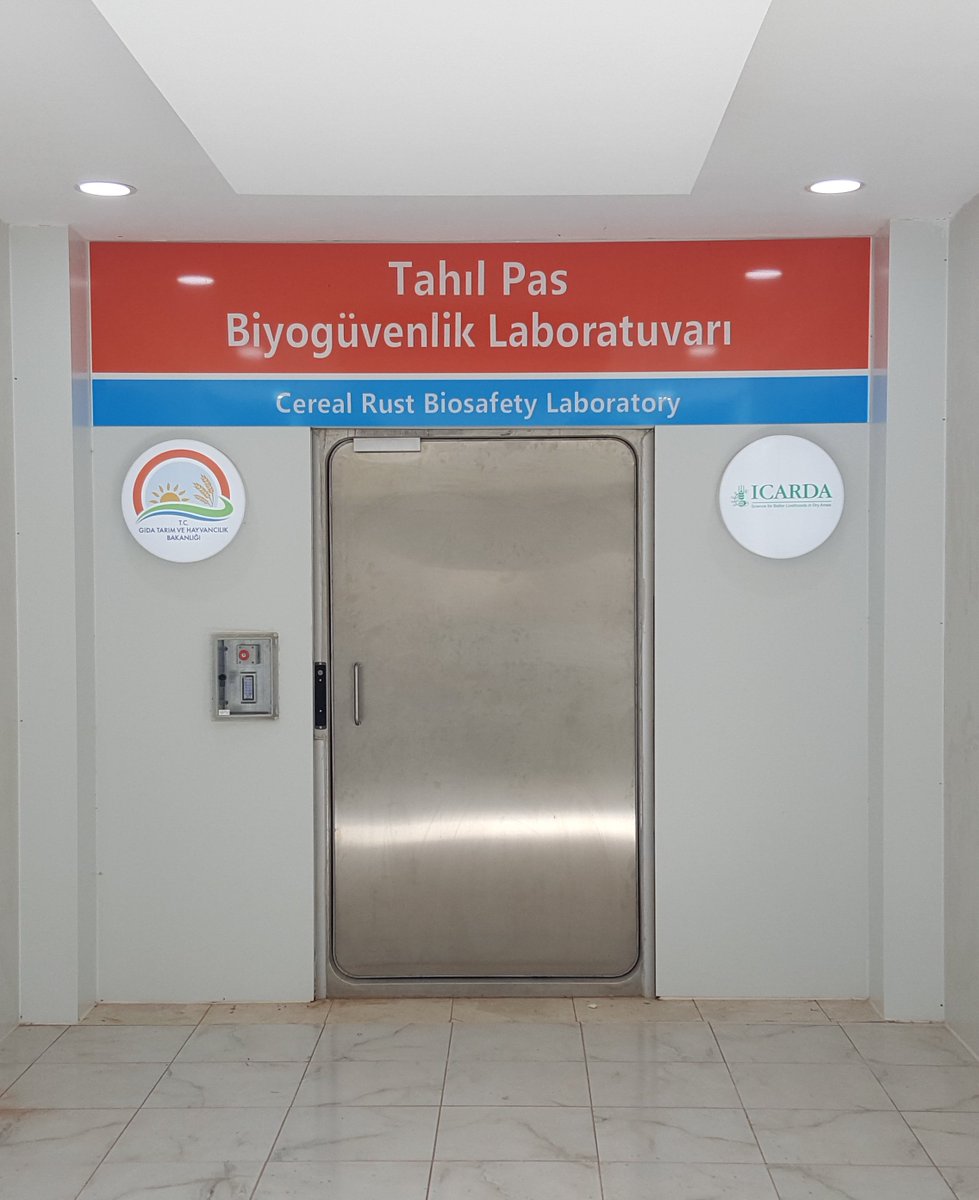 ICARDA's tweet photo. #TURKEY: Inauguration today of the Regional Cereal Rust Research Center in #Izmir- A result of the partnership between the Ministry of #Food, #Agriculture and #Livestock @MFALTurkey and #ICARDA to help fight #RustDisease. PRESS RELEASE: https://t.co/uXbQL0nMns https://t.co/BE7NXUW0Cx