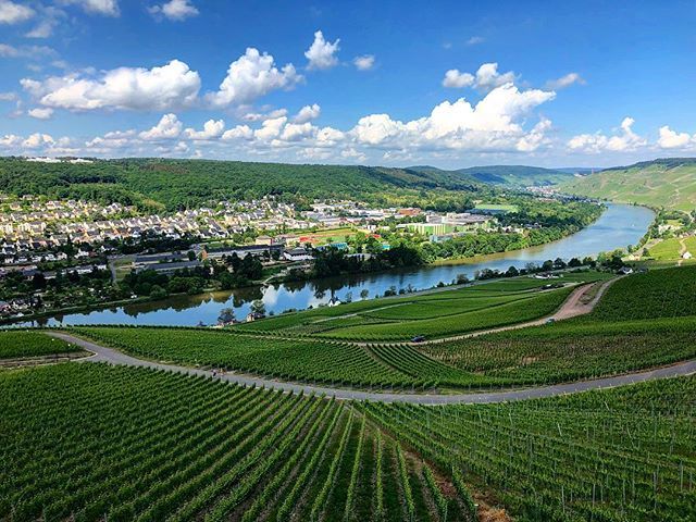 StraMaMax's tweet photo. Such a beauty 👌 #mosel #moselle #bluesky #vineyards #stramamax #kues #graach #landscapephotography #riesling https://t.co/12HFKVp0wG