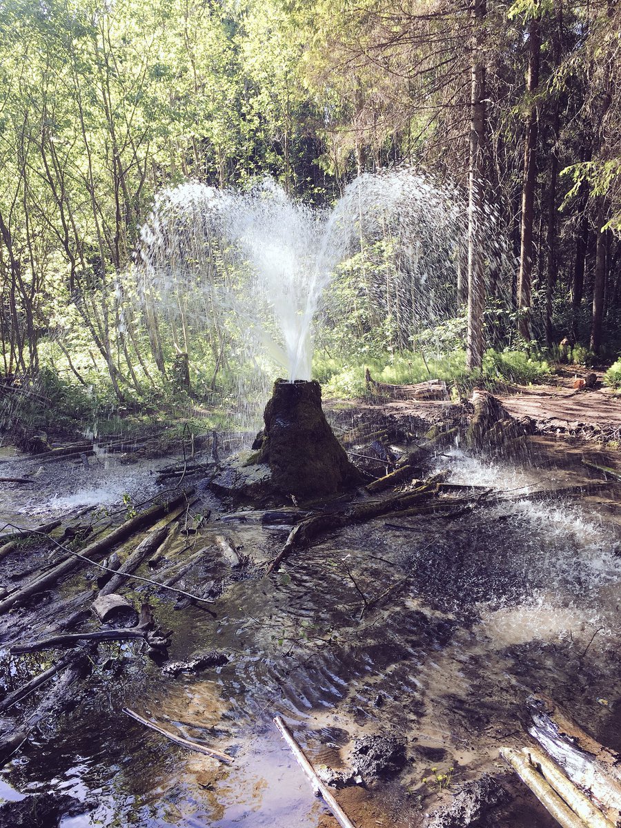 kostikkravc's tweet photo. Съездили посмотреть на красоту! Как жаль, что из двух гейзеров остался только один.
#Russia #SaintPetersburg #nature #NaturePhotography https://t.co/mmpJFQPltz