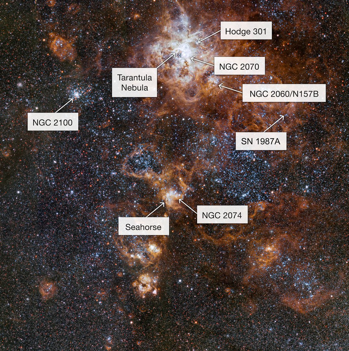 mediainaf's tweet image. Ammassi e nebulose: i vicini della #Tarantola: quella ottenuta dal telescopio made in Italy #VST dell'#ESO, in Cile, è l’immagine più nitida mai ottenuta di questa zona del cielo. media.inaf.it/2018/05/30/neb…