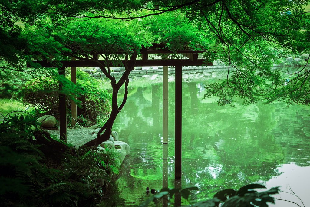 ごりっぴ Lightroomでアニメ風レタッチに挑戦してみた ゚ ゚ 1枚目元画像 2枚目sns用レタッチ 3枚目アニメ風レタッチ 言の葉の庭 T Co Urdgwd4omb Twitter ごりっぴ Lightroomでアニメ風レタッチに挑戦してみた ゚ ゚ 1枚目元画像 2枚目sns用レタッチ 3枚目アニメ風レタッチ 言の葉の庭 T Co Urdgwd4omb Twitter