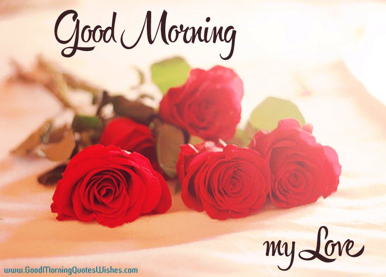 ivy_poisson tweet picture