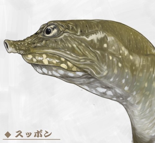 スッポンのtwitterイラスト検索結果 古い順