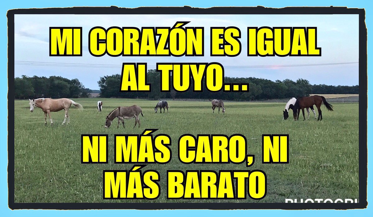 abgaco's tweet photo. Martes de Reflexión (bueno miércoles).
#FraseMatona
#LaNetadelPlaneta
#igualdad
#adayafter
#SamePrice https://t.co/HGQbhStYhH