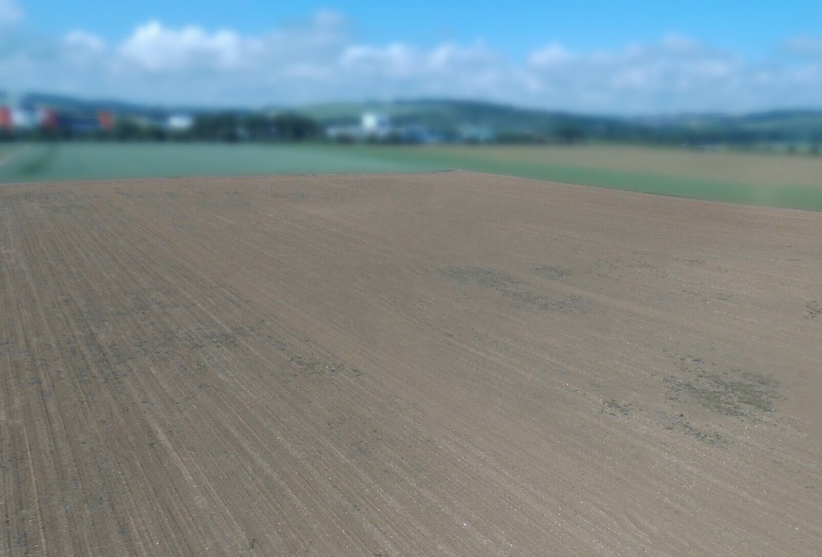 C_Centeol's tweet photo. Bindweed is coming.
Time to protect the crop 🌱🛡️

#CropProtection #Bindweed #PrecisionAgriculture #Centeol2018 https://t.co/X9us6OgW6I