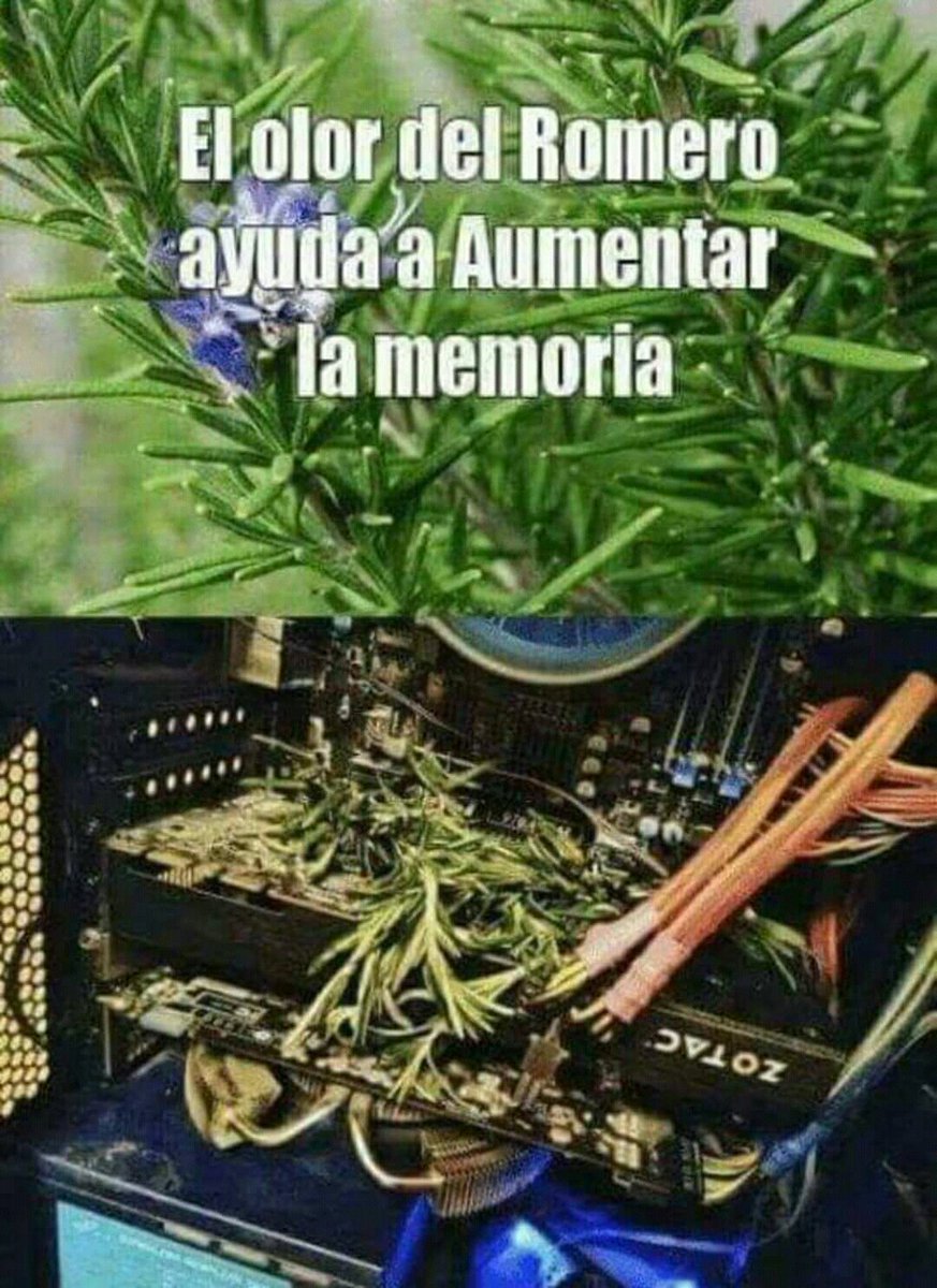 elcosabsl's tweet photo. ️😂😂Había que intentarlo…😂😂 #humorinformatico #humor #Memes #informatica #electronica #follobackforfolloback https://t.co/S80MiOpalN