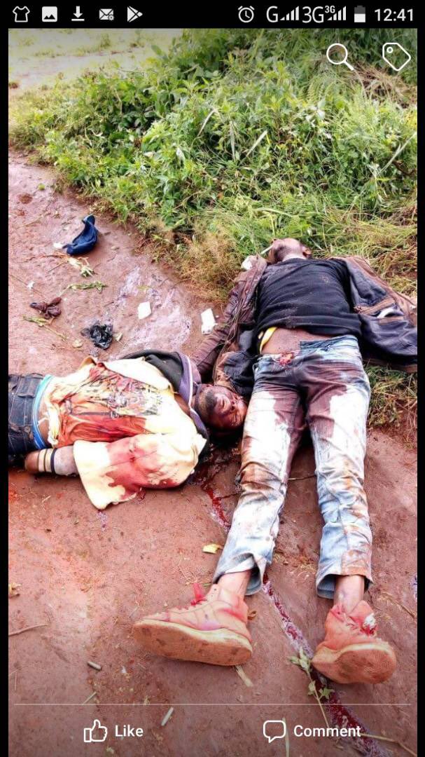 jeloasmami's tweet photo. @guardian How long will the world wait and see this inhumane treatment? @AU_PSD @PaulKagame. #FreeSouthernCameroon from Paul Biya and LRC’s barbarism!! https://t.co/cIjeGSOgVD