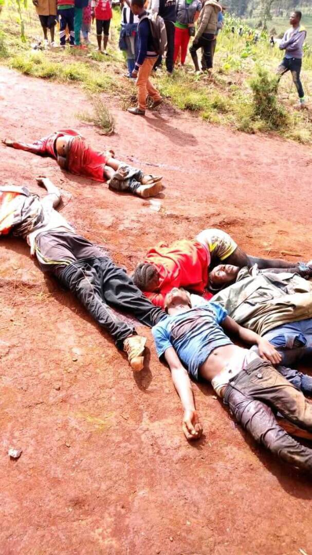 jeloasmami's tweet photo. @guardian How long will the world wait and see this inhumane treatment? @AU_PSD @PaulKagame. #FreeSouthernCameroon from Paul Biya and LRC’s barbarism!! https://t.co/cIjeGSOgVD