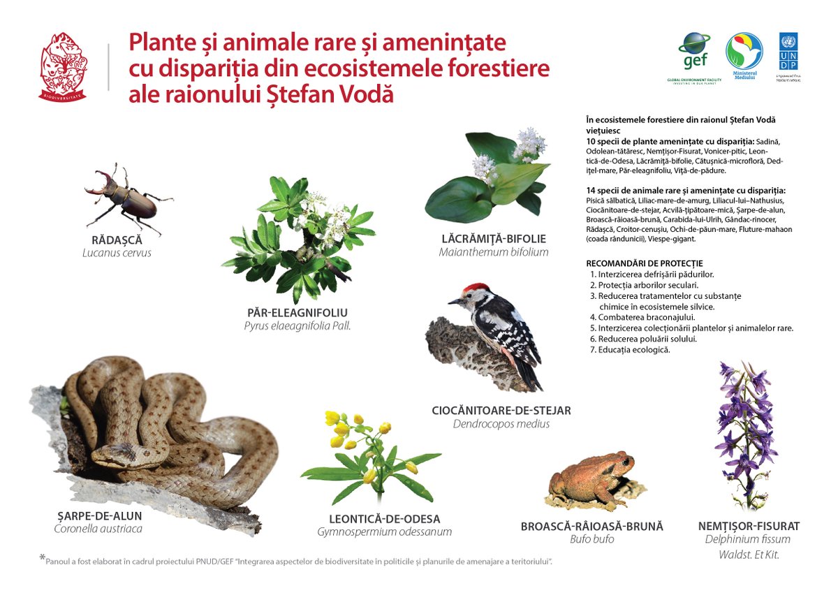 Undp In Moldova On Twitter All These Rare Species