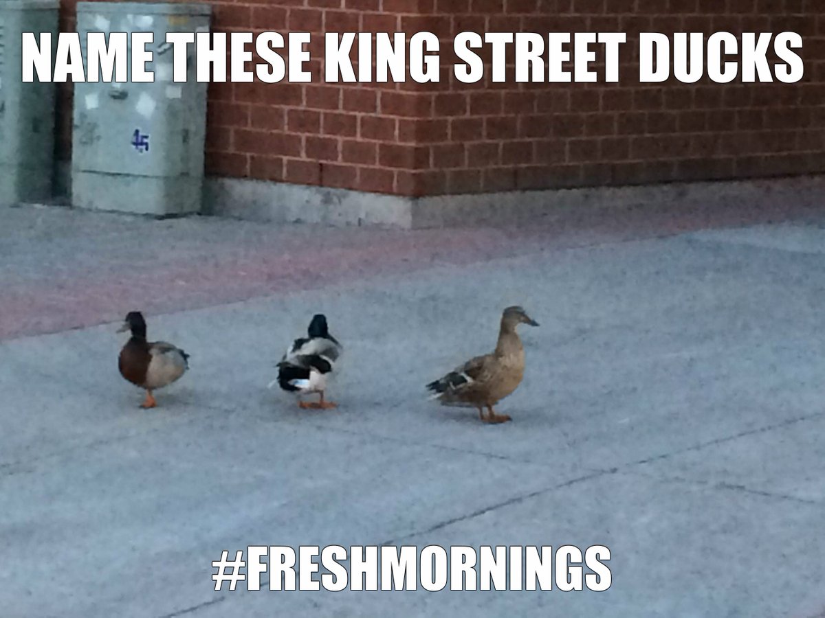 Now there is a 3rd #KingStreetDuck that needs a name #FreshMornings